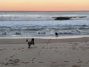 5 Things to Know About Owning a Home on Cape Cod Year-Round